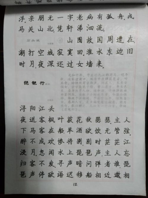 我是经典抄写人,我把经典 琵琶行 写给你看 琵琶行 我 ...