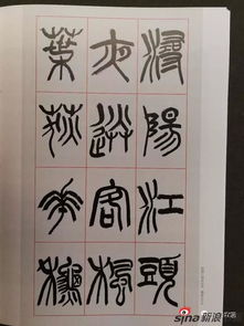 仇高驰篆书 琵琶行 渊雅纯正神完气足
