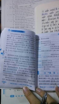 琵琶行重点句 全一点的 谢