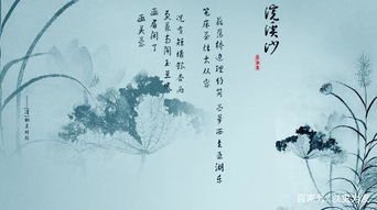 白居易是在什么情况下,写下了最近风靡抖音的 琵琶行 呢