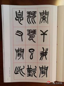 仇高驰篆书 琵琶行 渊雅纯正神完气足