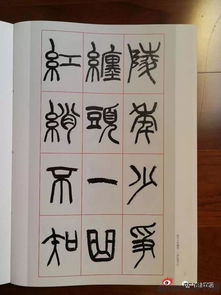 仇高驰篆书 琵琶行 渊雅纯正神完气足