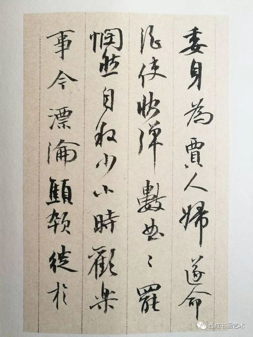 葛超书 琵琶行 册页欣赏
