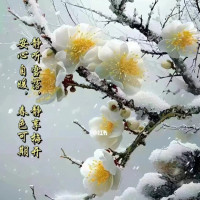 琵琶行