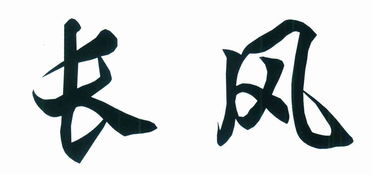 长沙市天心区长鹰美发用品厂