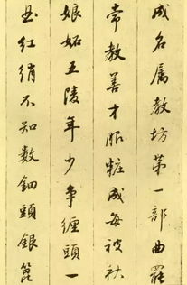 董其昌行书, 白居易琵琶行 有 颜骨赵姿 之美