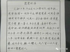 白居易 琵琶行 片段手写钢笔字笔友钢笔书法习作欣赏