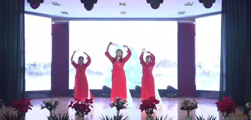 扬帆起航新征程 携手共筑天宇梦——天宇集团迎新年文艺晚会集锦《琵琶行》