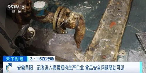 生猪市场波动 供应链调整与企业战略应对