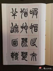 渊雅纯正，神完气足——观仇高驰教授篆书《琵琶行》